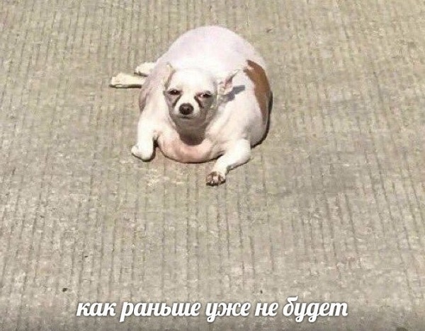 Веселье закончилось