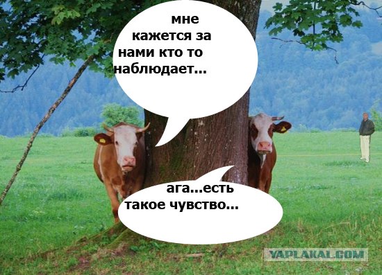 Как ты думаешь, измена скора отпустит?