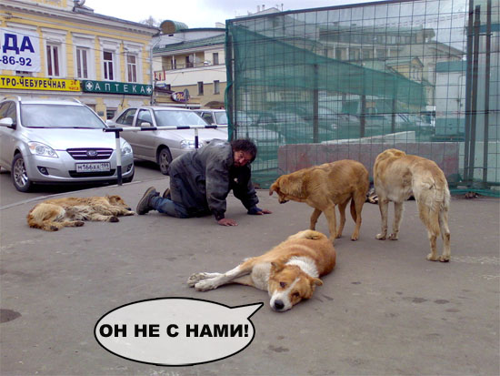 Лучший друг человека.... или наоборот!?