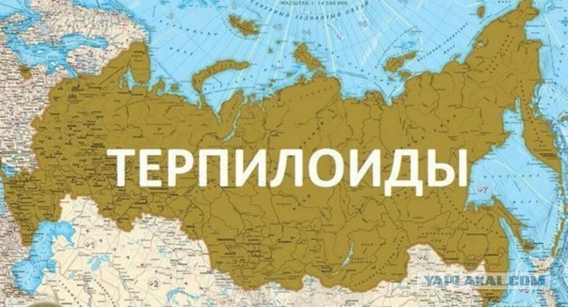 В Китае назвали возможного преемника Путина.