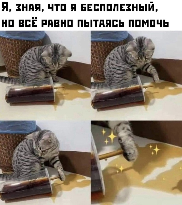 16222929.jpg