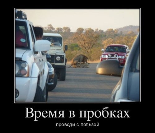 Так себе картинки 17.04.22