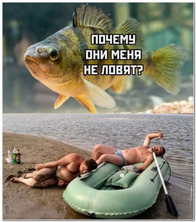 Немного картинок."Колбасный ветер". Август