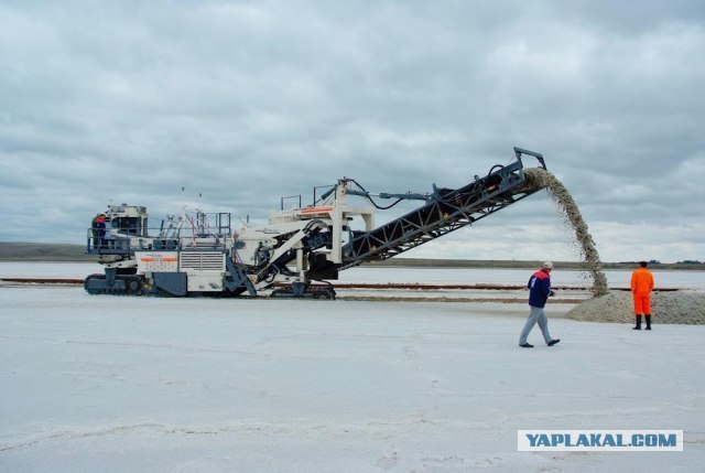 Вот в чем вся соль!