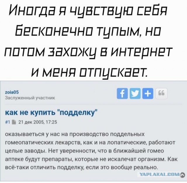 Картинки и мемы для настроения - 111