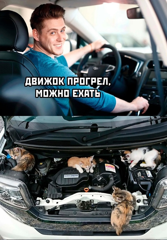 Картинки и мемы. Выходные близко...