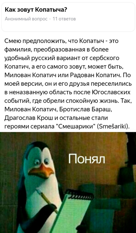 Весёлый полтишок 10.11.22