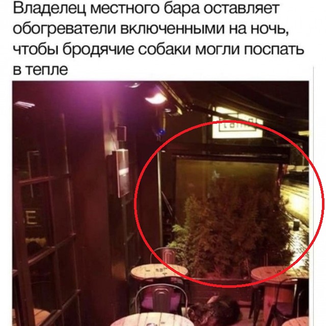 Чуток картинок 22.01.23