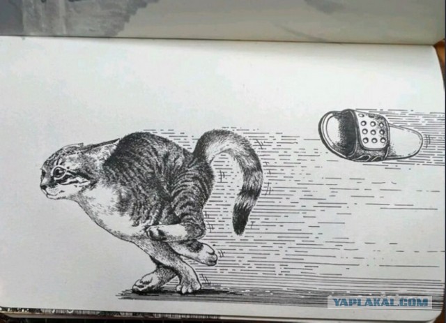 Первая и вторая космическая скорость