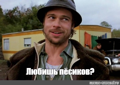 В г.Иваново бродячие собаки напали на детей