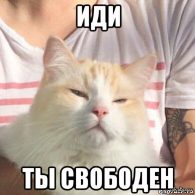 Пенсионная реформа. Повернуть ее назад?