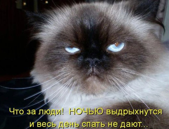Так себе картинки 14.09.23