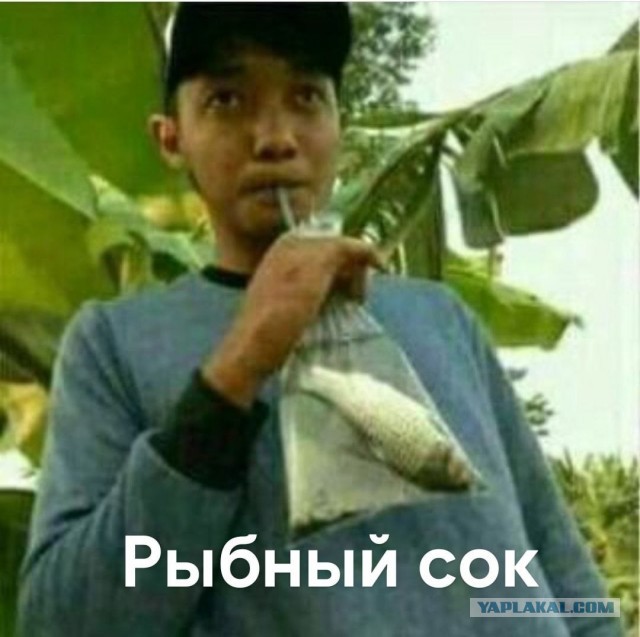 Бессистемно: картинки, лайфаки, баяны…