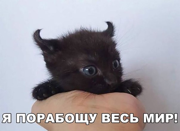 Дориме