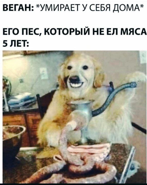 Картинки и видео категории Г (часть 2)