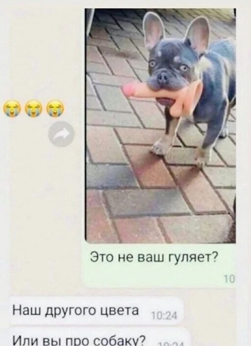 Субботние картинки