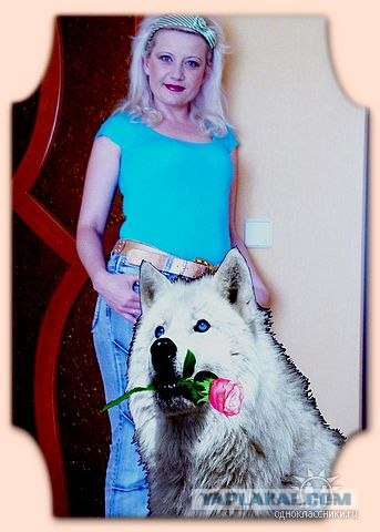 Дикие фото из социальных сетей