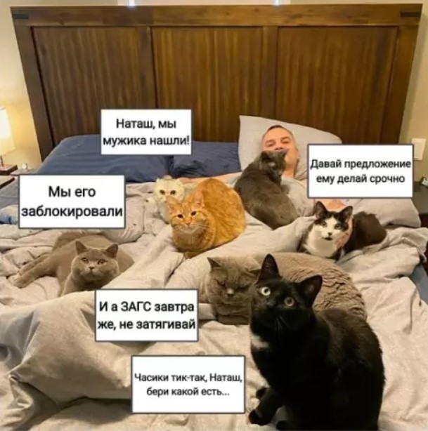 Картинки для деградации 222 (разной степени свежести)