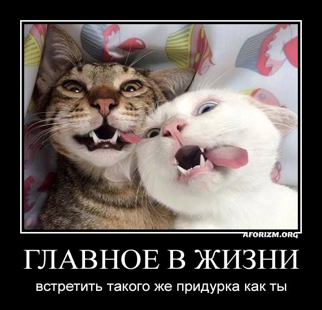 Секрет семейного счастья раскрыт