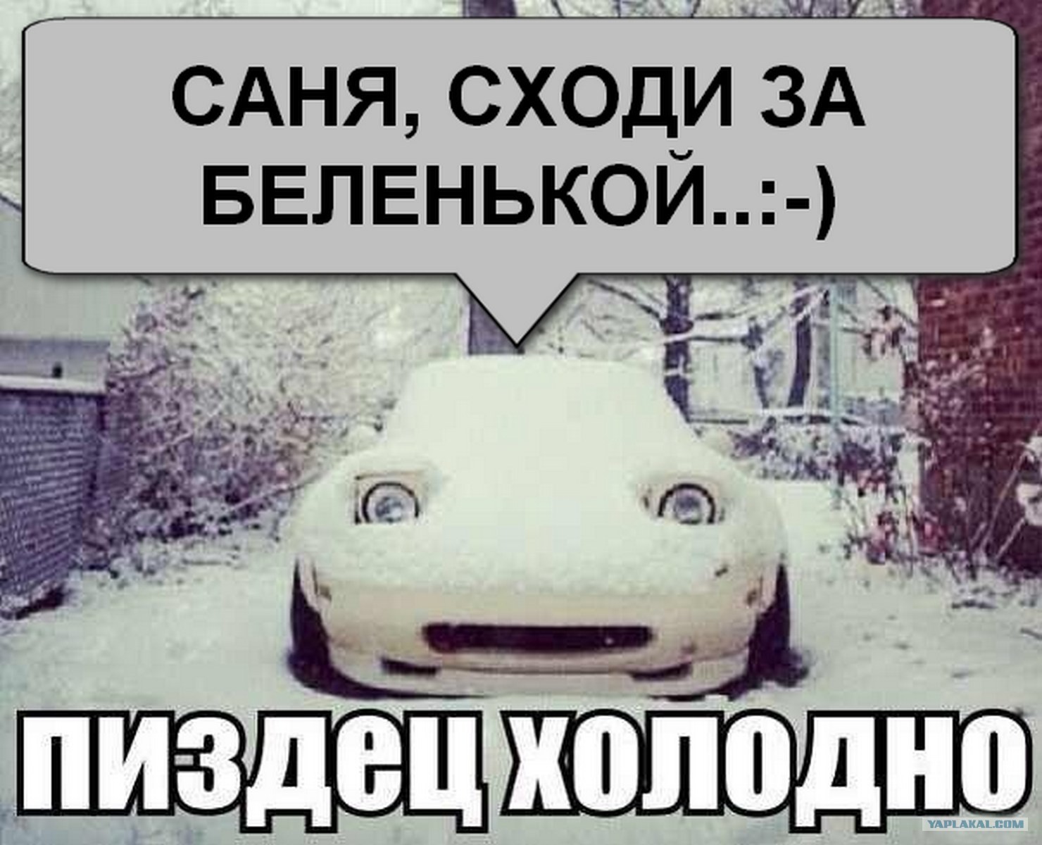 Благодыр Саня