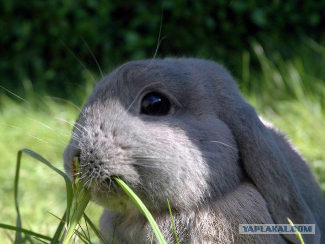 Не стреляй в меня