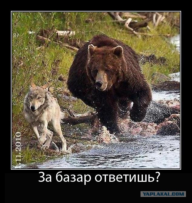 "Украина будет уничтожать российские войска"