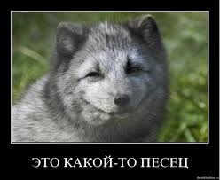 Германия вслед за Финляндией отказала Киеву
