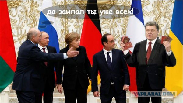 Предлагаю пожабить