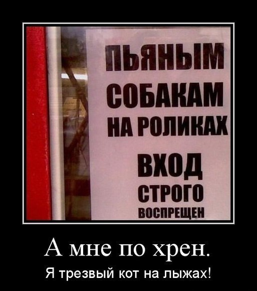 Смешные картинки, приколы, комментарии и прочее...