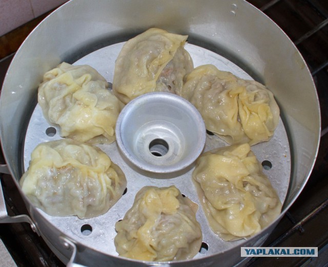 Манты настоящие, классические