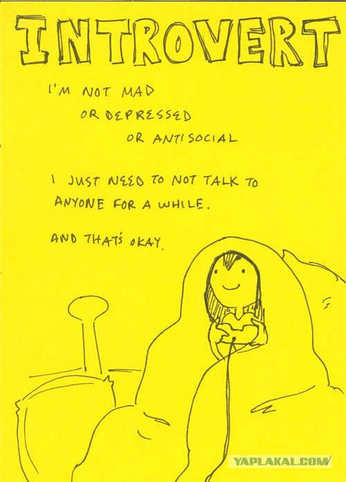 Как понять интроверта