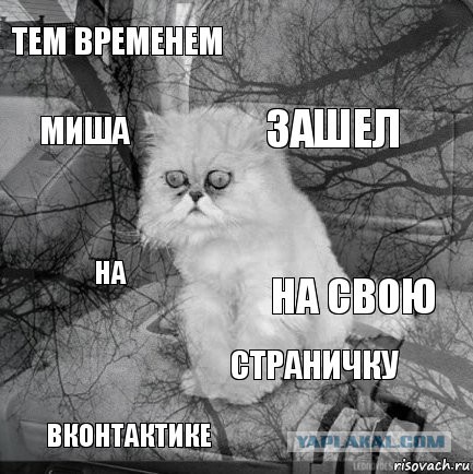 Как я машину без подголовников купил)