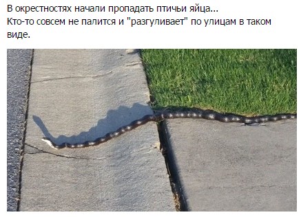 Подборка прикольных картинок