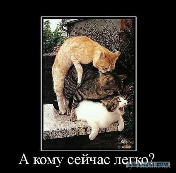 Сборник "баянов" со всего Интернета - 2