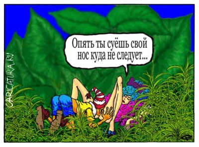 Буратино.