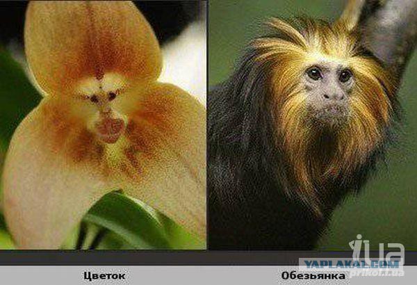 Бывают в жизни совпадения