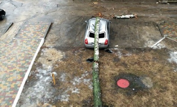 Шанс таких совпадений был 1 на 1 000 000.