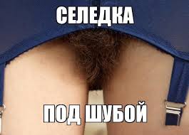 Ищу жену. Есть желающие?