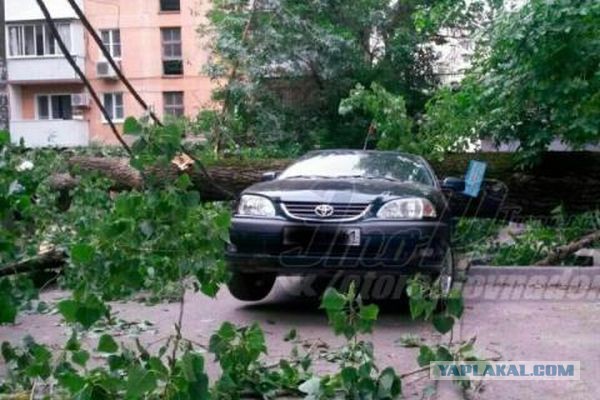 Тачки разбитые ураганом в Минске сегодня. Оригинальные отборные фото!