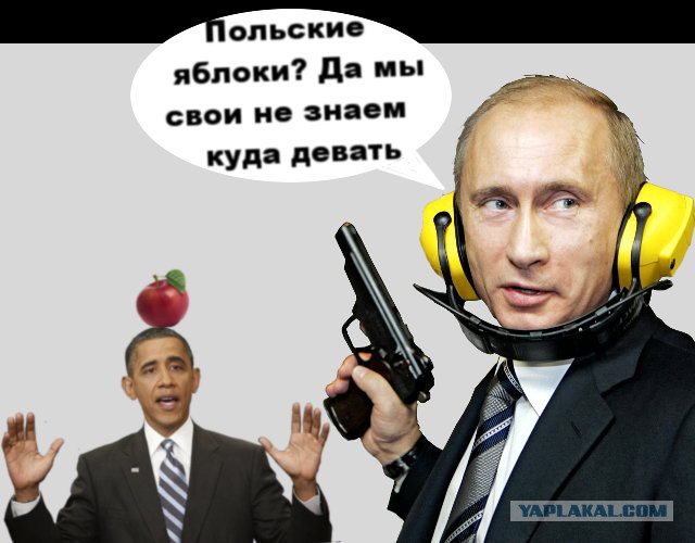 Польша выступила за сотрудничество с Россией без предварительных условий