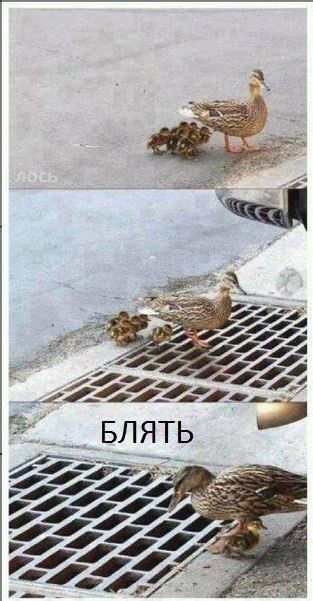 Смотри приколы и тупей