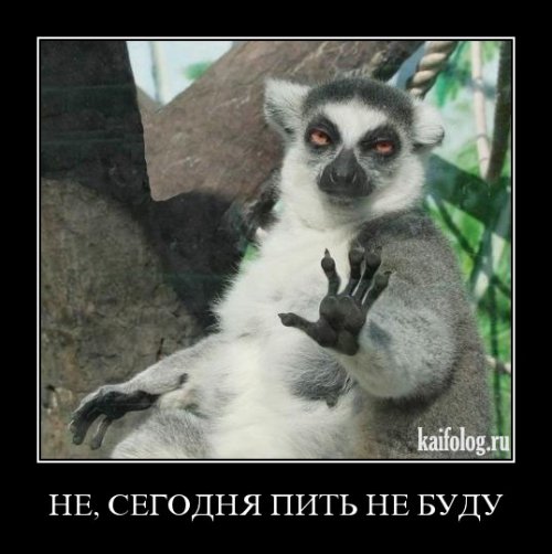 Первому января посвящается!