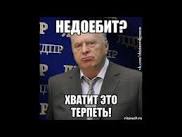 У вегана бомбануло