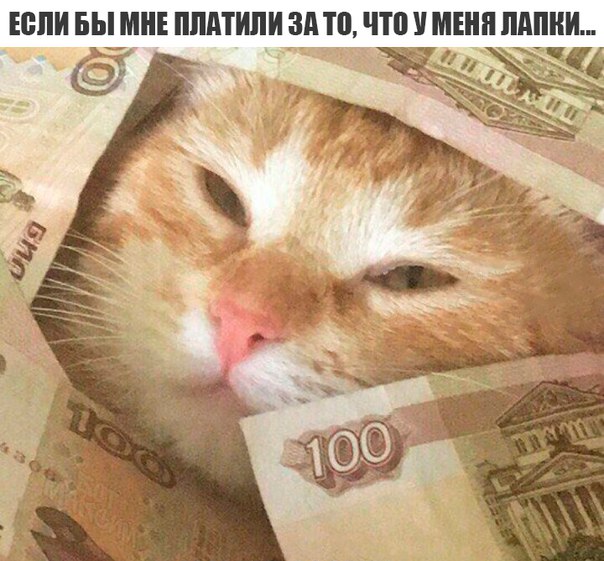 Журнал школьный деградант