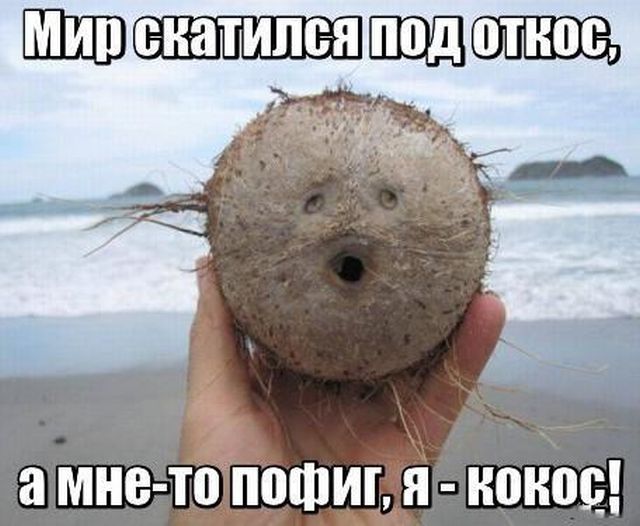 Подборка интересных и веселых картинок