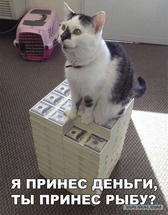 Прикольные картинки