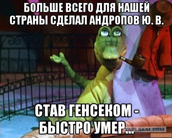 А вот и деградация подтянулась! Ныряем в омут с головой!
