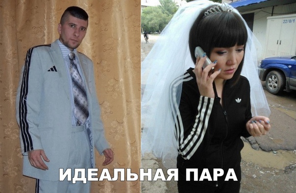 Субботняя вакханалия с большой дозой идиотизма