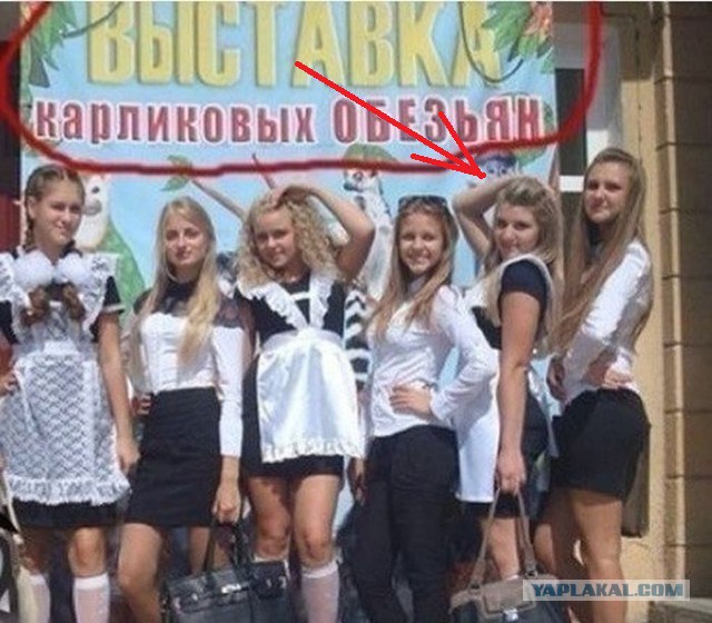 Подборка прикольных фоток