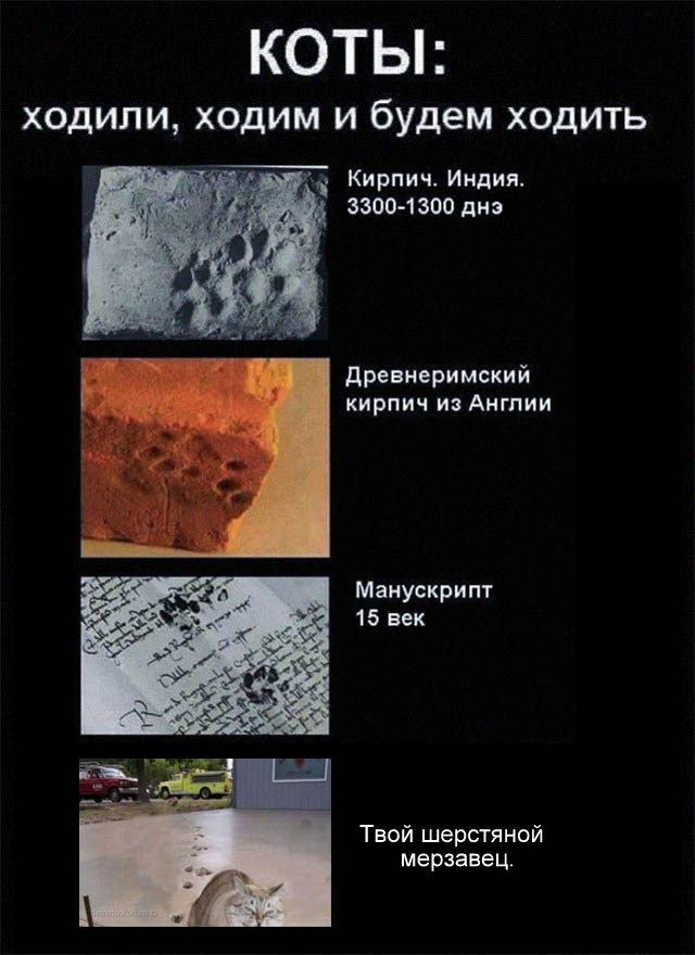 Немного интересных и добрых картинок